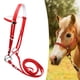 thumbnail image 1 of Brida para caballo con cabezada de rienda, cómoda brida de acero inoxidable para montar M rojo, 1 of 8