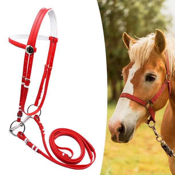 Brida para caballo con cabezada de rienda, cómoda brida de acero inoxidable para montar M rojo