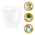 Axio Drainable Orchid Pot Orchid Pot for Indoor Plants Resin Flower