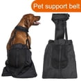 thumbnail image 1 of LiMimmuu Pet Belt Dog Lift Harness Dog Support Harness with Fastening Wear Resistant Zipper Design Quick Release Puppy Belt Leg Protector Pet Supplies, 1 of 7