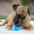 thumbnail image 2 of Jolly Pets 4121-OR3 Flex-n-Chew Squarble, Orange - 3 in., 2 of 3