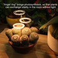 thumbnail image 2 of Lámparas de luz para cultivo de plantas de 1/2/3/cabezas, luces LED para crecimiento de plantas con luz solar USB, luz solar roja y azul, 2 cabezas Afortunado Sencillez, 2 of 5