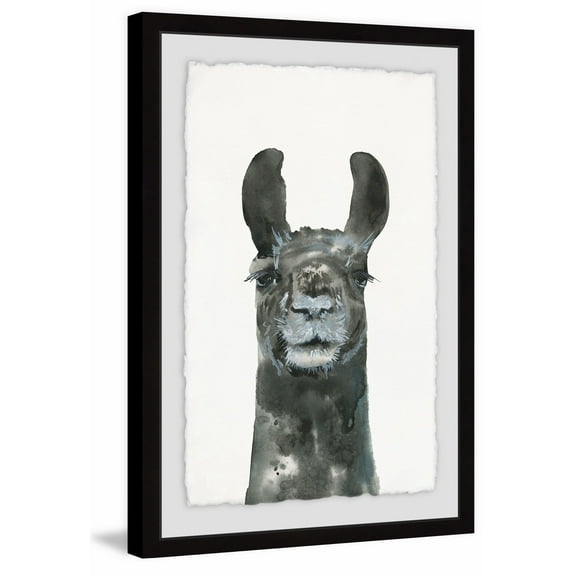 Older Llama Framed Painting Print