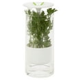 thumbnail image 4 of Honey-Can-Do Glass Herb Preserver Food Storage Jar, Clear/White, 4 of 6