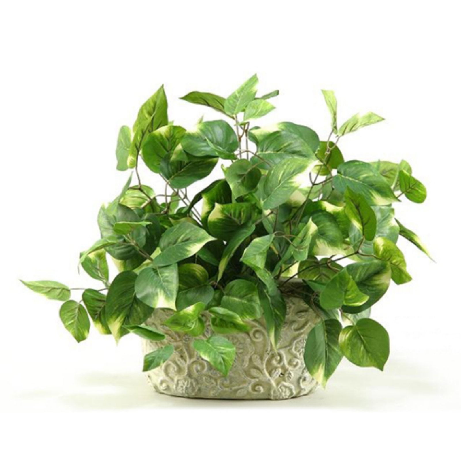 D&W Silks Pothos Ivy Silk Plant