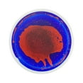 thumbnail image 3 of Abbracc Tuile de Jeu Liquide Colorée pour Enfants Tuiles Sensorielles Rondes pour Garçon Fille Enfants Rouge et Bleu, 3 of 9
