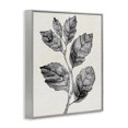 thumbnail image 2 of Stupell Industries Cottage Classic Leaf Branch Cut Gray Framed Giclee Art, 16 x 20, by Karen Smith, 2 of 7
