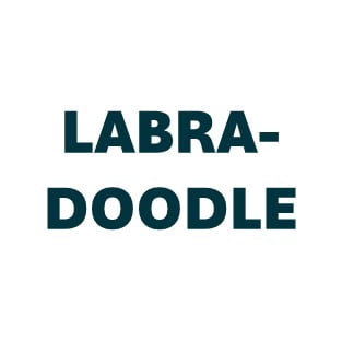 Labradoodle Pill Butter