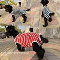 thumbnail image 2 of Pantalones fisiológicos de una pieza para perros y mascotas, pantalones sanitarios, pantalones menstruales de peluche, pantalones de algodón a rayas para mujeres, 2 of 6