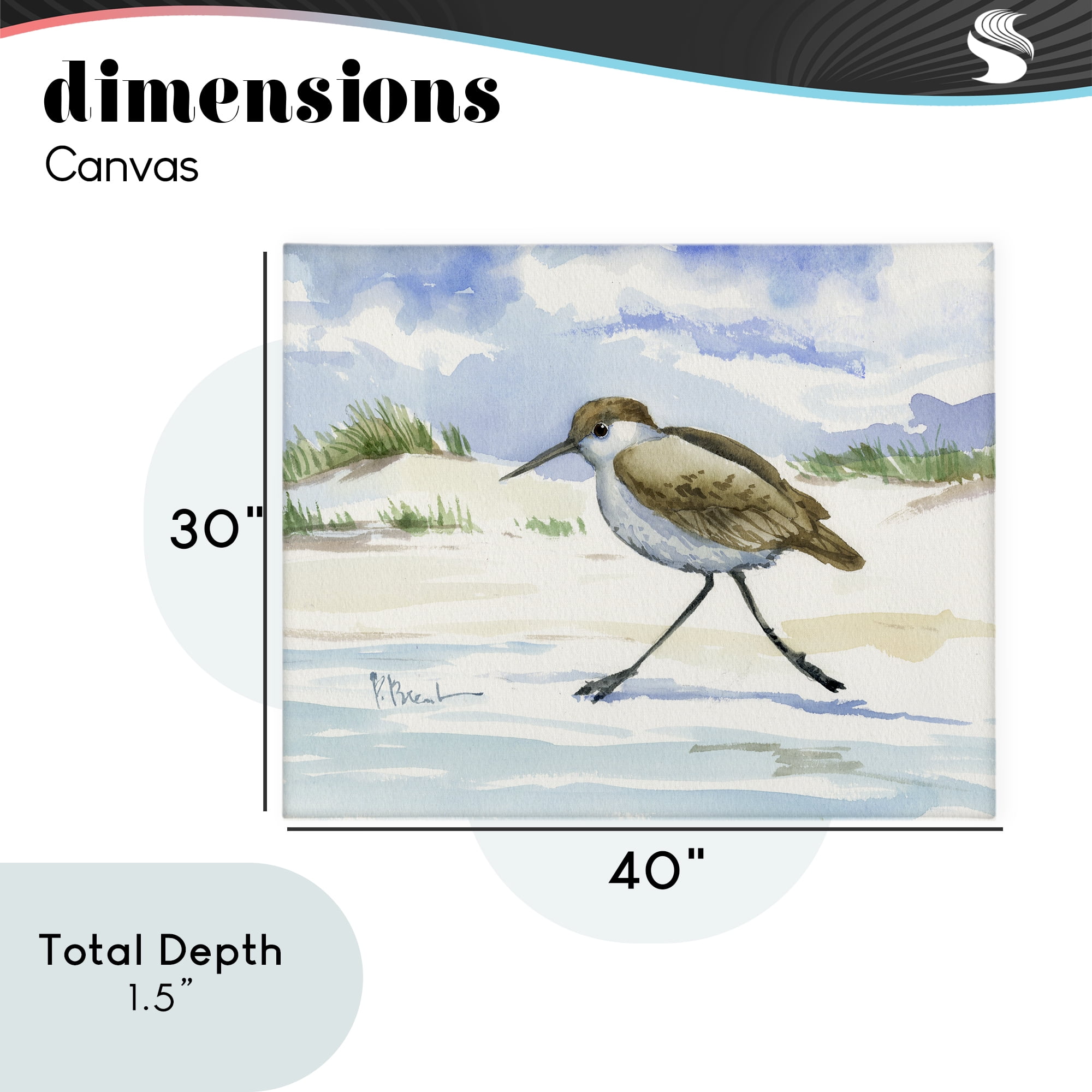 Stupell Industries Inlet Beach Sandpiper Running Canvas Wall Art, design by Paul Brent