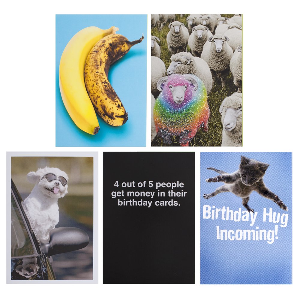 Hallmark Shoebox Funny Birthday Cards Assortment (5 Cards with