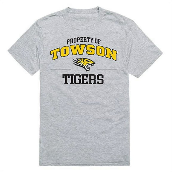 Towson University Property College Tee Shirt - Heather Gray - 2XL