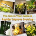 thumbnail image 2 of LED Plant Light, Full Spectrum Corn Fill Light, Horizontal Succulent Plant Growth Socket Lamp + Adapter, 2 of 5