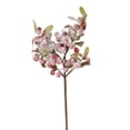 thumbnail image 1 of 9 in. Berry Pick with Leaf & Snow - Pack of 24, 1 of 1