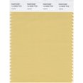thumbnail image 1 of SMART 14-0941X Couleur Échantillon, Cire d'Abeilles, 1 of 1