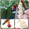 thumbnail image 3 of Parrot Toy Hanging Cuttlebone Pendant Parrot Cage Chewing Toy Bird Bite Toy Parrot Toy, 3 of 8