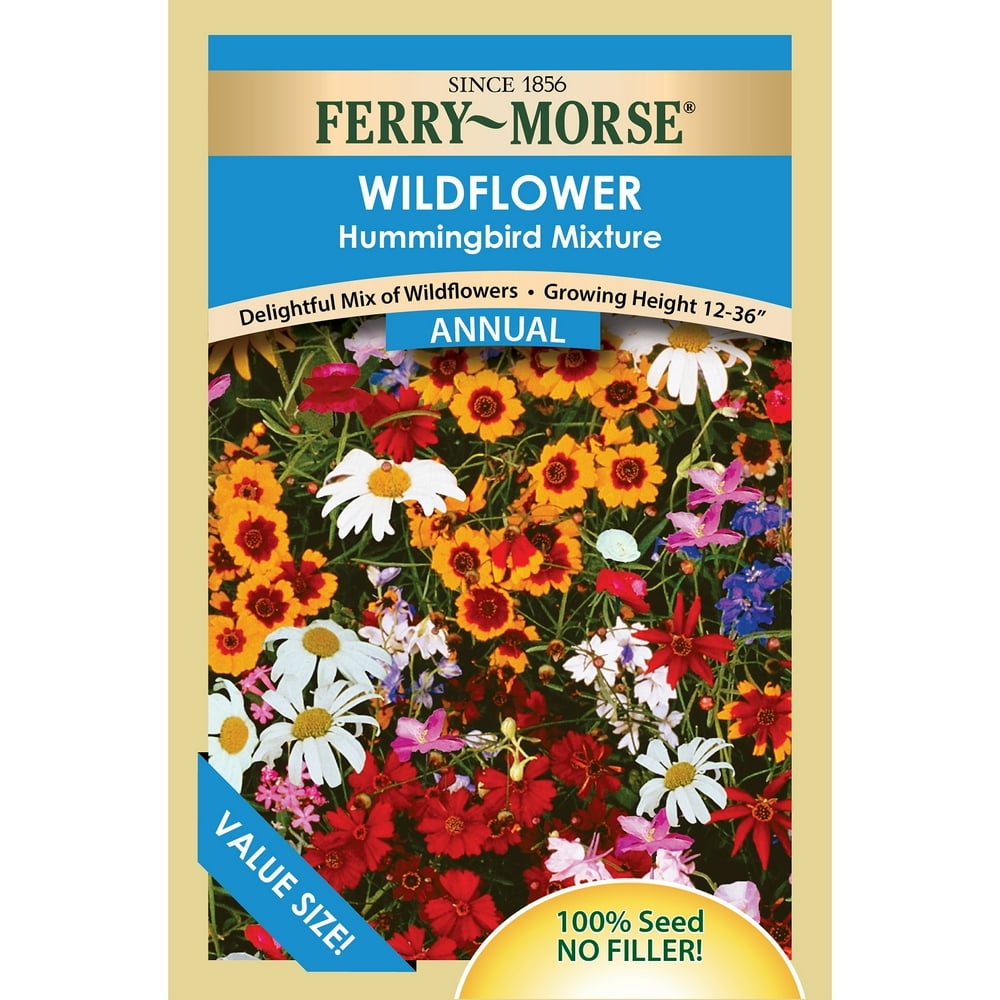 FerryMorse Value Pack Wildflower Hummingbird Mixture