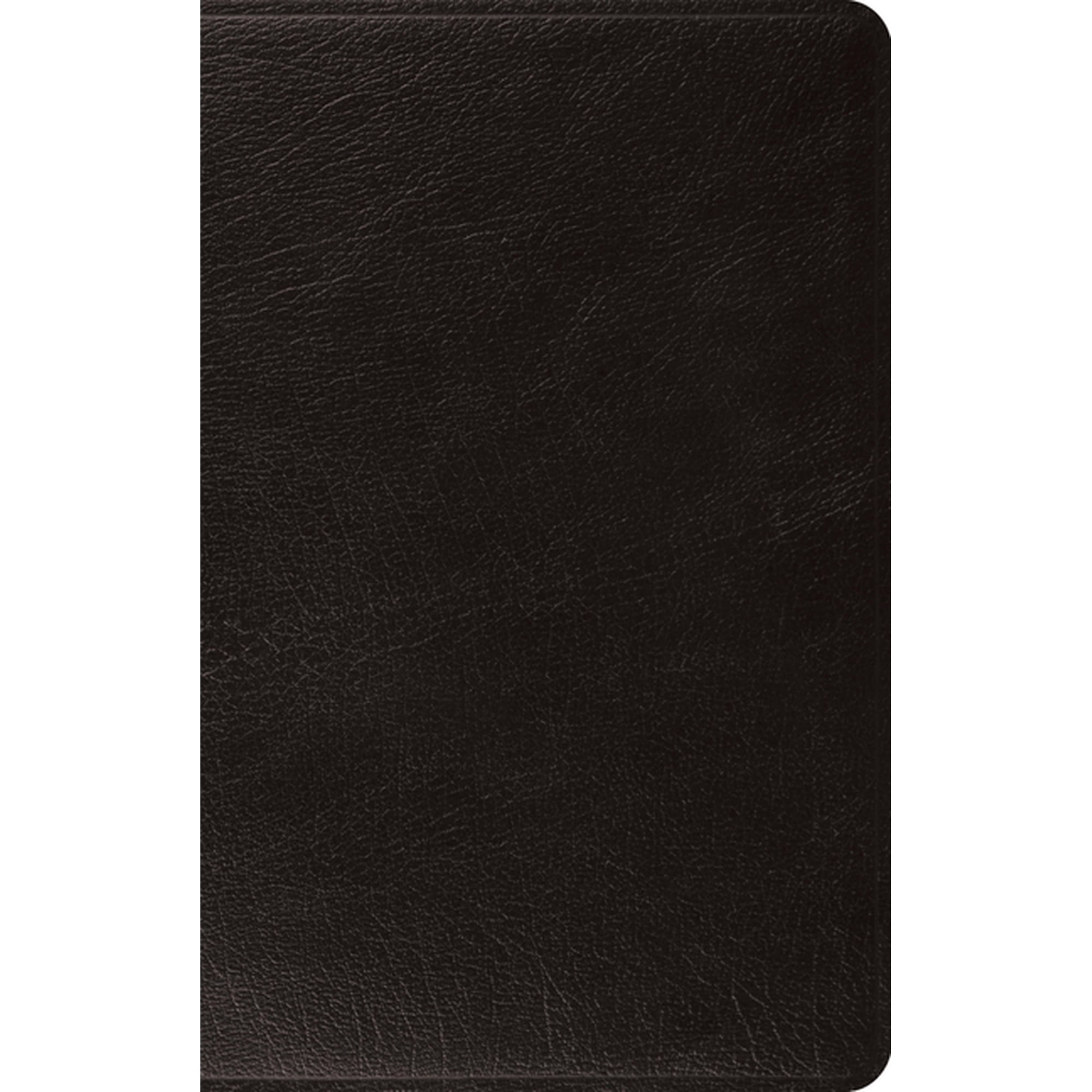 ESV Large Print Thinline Bible (Black) (Hardcover)