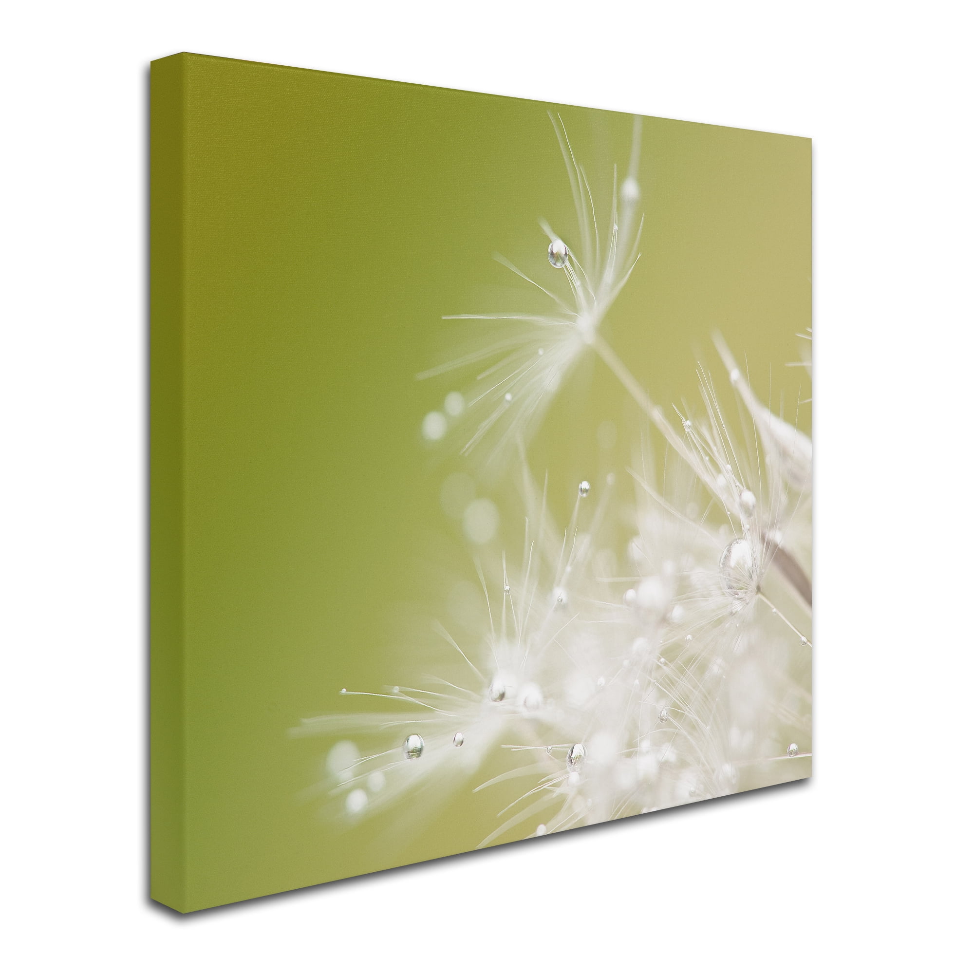 Trademark Fine Art 'Green' Canvas Art by Hilde Ghesquiere