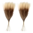 thumbnail image 2 of 20Pcs Artificial Pampas Grass, 21.6 Inch Faux Dried Natural Reed Soft Fluffy Design, Boho Floral Bouquet, Vase Ornament for Home Living Room Wedding Centerpiece Decor, 2 of 6