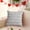 Gray, variant on Dadiaei Valentines Day Pillow Covers 17x17 Inch 1 Pack - Soft Plush Faux Fur Heart Covers for Couch Sofa Bed Living Room Decorations, Red Love Throw Pillow Covers for Valentines Decor
