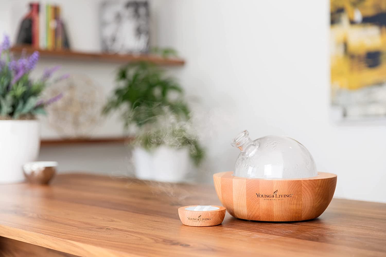Young Living Aria Diffuser - Young Living Aria Glass Dome Replacement