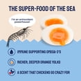 thumbnail image 3 of Alimento para gallinas Hatortempt Surf & Turf 10 lb, alto en proteína, 3 of 9