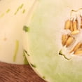 thumbnail image 3 of Melón Dino por kilo, 3 of 4