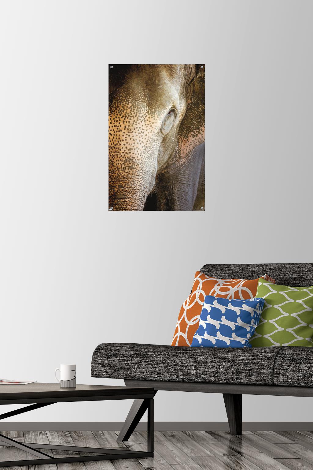 Beth Sheridan - Indian Elephant Wall Poster with Pushpins, 14.725" x 22.375"