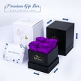 thumbnail image 2 of Otuo Preserved Roses in Gift Box, Real Eternal Rose Flower Gifts for Girlfriend, Mom, Women, Wife, Birthday Anniversary and Valentine's Day (Purple), 2 of 8