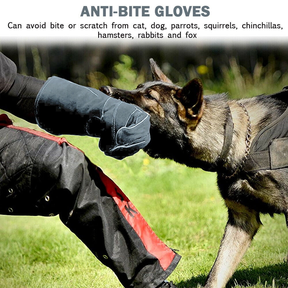 Animal Handling Gloves Bite Proof, IC ICLOVER Best Philippines Ubuy
