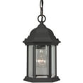 thumbnail image 2 of Z291-RT Craftmade Lighting 1 Light Outdoor Pendant In Traditional Style-11 Inches Tall and 6.5 Inches Wide-Rust Finish, 2 of 2
