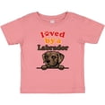 thumbnail image 3 of Inktastic Labrador Retriever Dog Gift Boys or Girls Baby T-Shirt, 3 of 5