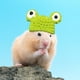 thumbnail image 3 of Gorro de punto para hámster, adorable gorro para mascota pequeña, con correa ajustable, diseño de ranas, conejos y zanahorias, plegable y portátil, de lana suave, ideal para hámsteres y, 3 of 8
