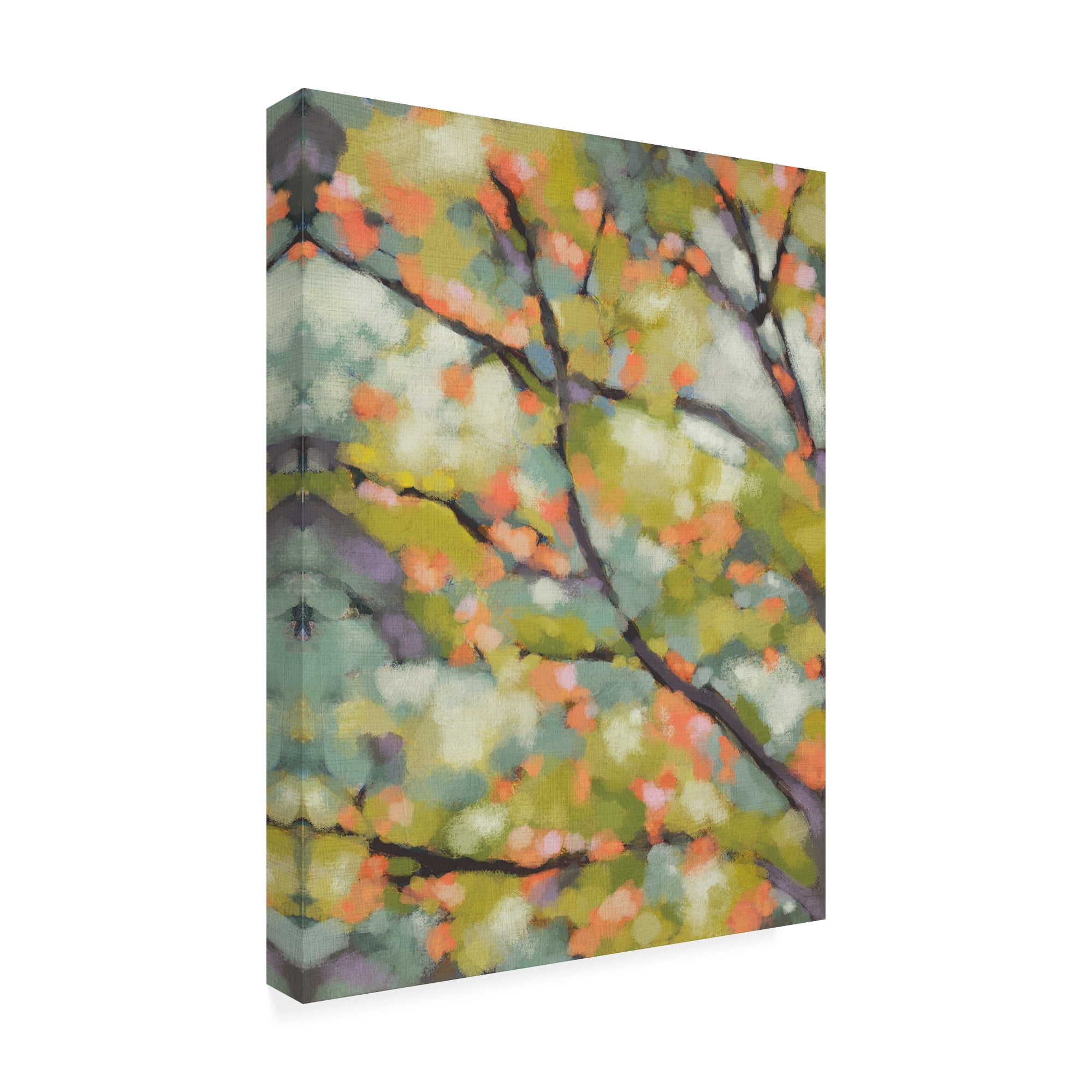 Trademark Fine Art 'Dappled Dusk I' Canvas Art by Chariklia Zarris