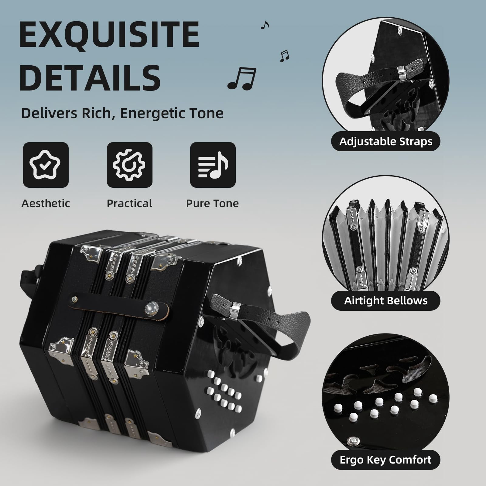YueChun Concertinas,20-Key Accordion for Adults, Professional Accordion for Beginners, Adjustable Hand Straps, Instrument Accessories (Black)