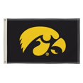 thumbnail image 1 of Corps 810003IOWA-001 3 x 5 Pi Iowa Hawkeyes NCAA Drapeau, 1 of 1
