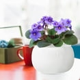 thumbnail image 7 of BUYMAX 8 inch African Violet Pots – Ceramic Easy Self Watering Plant Pot for Busy Plant Lovers,Modern Decor White Flower Pots, 7 of 7