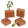 thumbnail image 1 of Figuras de juguete con ciclo de crecimiento de plantas, 4 unidades, para niños, decoración del hogar, 1 of 5