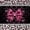 Hot Pink 02, variant on Erosebridal Green Square Black Out Curtains for Boys, Pixelate Miner Curtains Pack of 2 (42x63 Each)