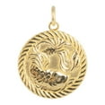 thumbnail image 4 of Reversible Pisces Zodiac Sign Charm Coin Pendant Necklace in Solid Gold (16 Inches), 4 of 4