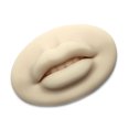 thumbnail image 1 of Eigraketly Labio de práctica de maquillaje permanente 3D para principiantes Piel adhesiva Labios abiertos Suministros de belleza Entrenamiento de Material de laboratorio Blanco Eigraketly TO008711-01, 1 of 6