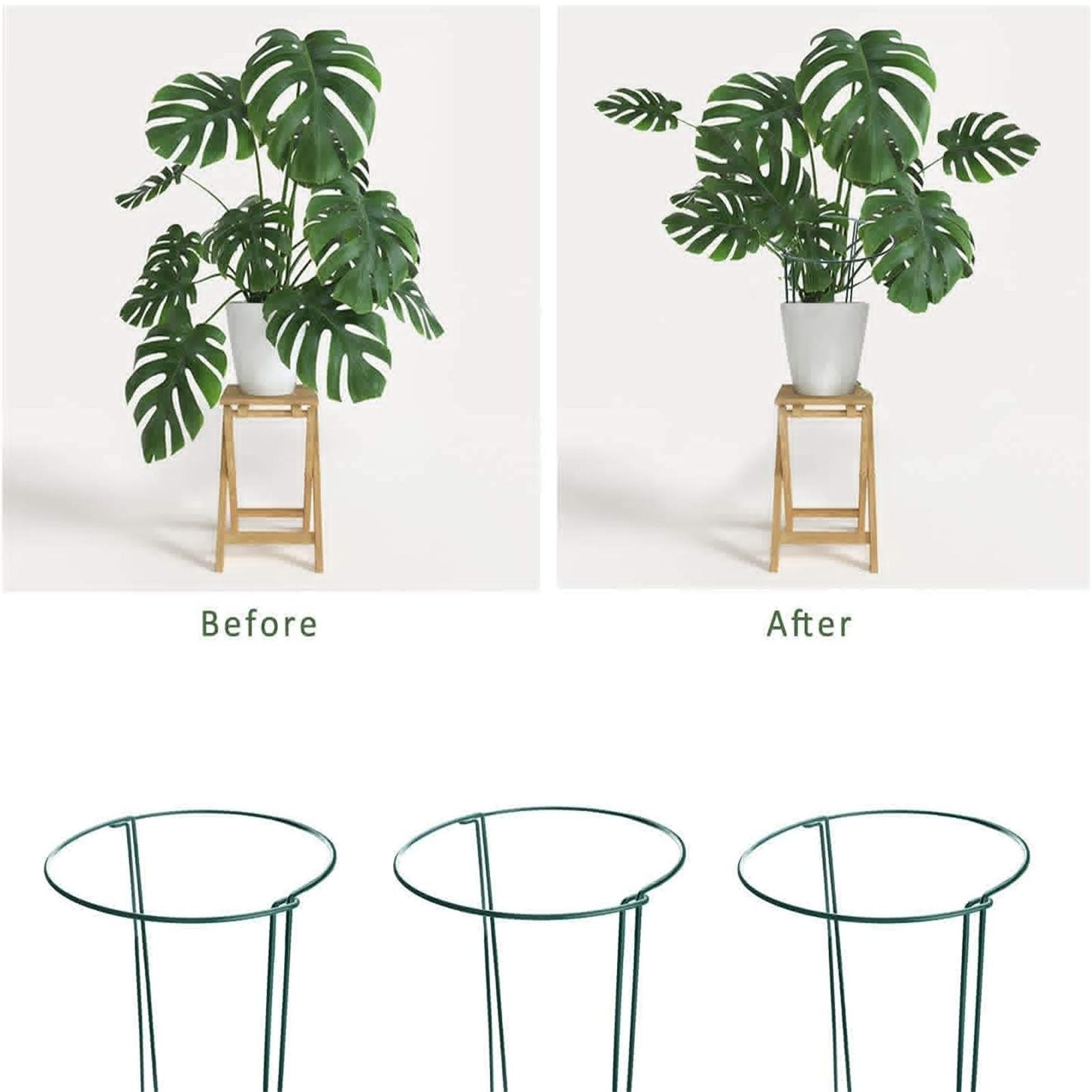 10 Pack Plant Support Stakes, Half Round Metal Peony Cages and Supports, Garden Plant Support Ring for Indoor Outdoor Plants, Tomato, Hydrangea, Monstera, Flower (25x40cm)