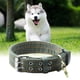 thumbnail image 1 of Collar De Perro Collar de perro verde militar de doble fila ajustable para perros medianos y grandes (L), 1 of 8