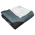 thumbnail image 3 of DC Comics Batman The Bat And The Cat Kids Silk Touch Throw Blanket, 3 of 5