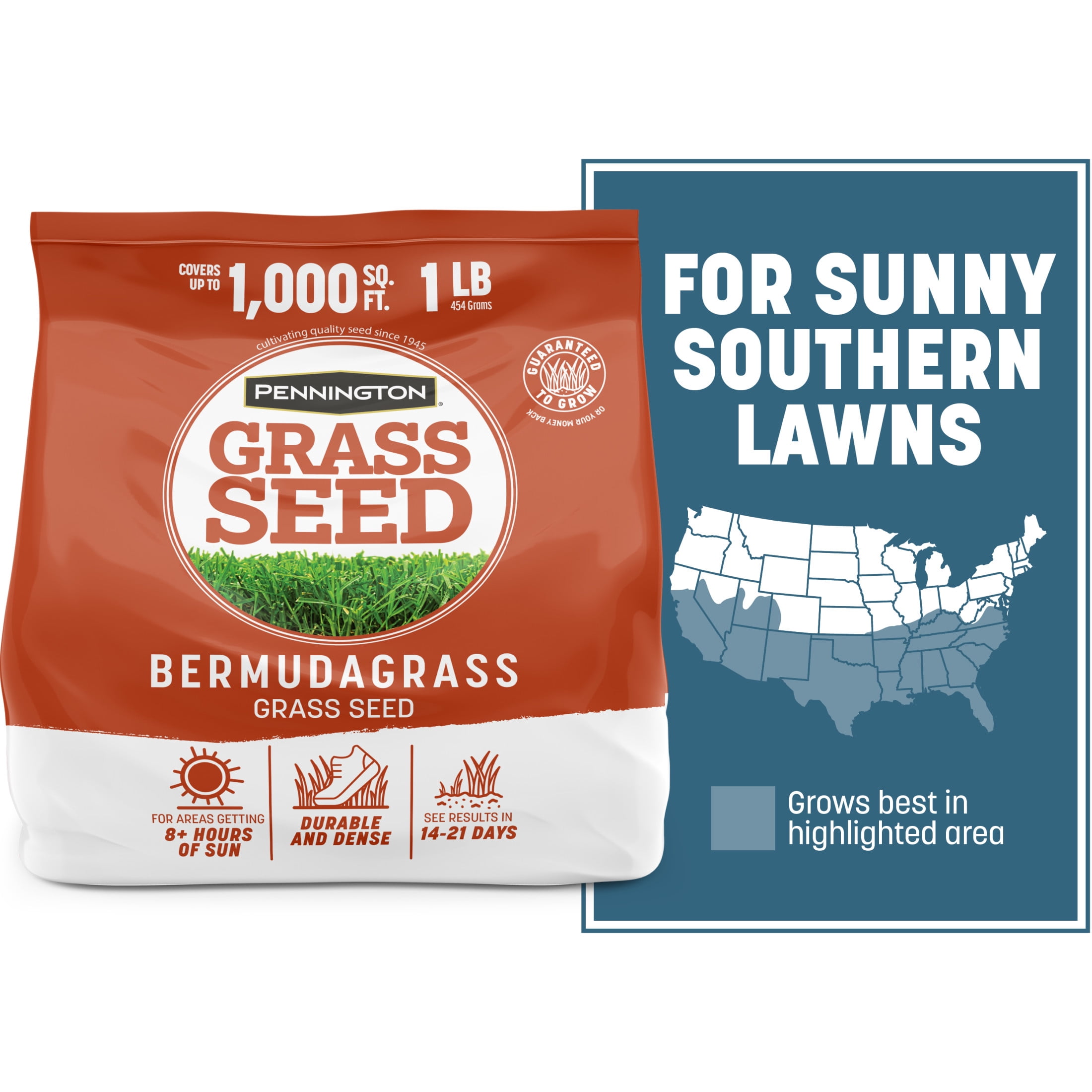 (3 pack) Pennington Bermudagrass Grass Seeds for Full Sun Lawn, Grass Seed, 1 lb