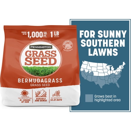 Pennington Bermudagrass Grass Seeds for Full Sun Lawn, Grass Seed, 1 lb