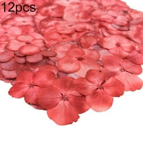 Soumake 12Pcs Pressed Dried Flower Plant Specimen Epoxy Resin Phone Decor DIY Accessory