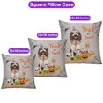 thumbnail image 3 of Trick or Treat Boykin Spaniel Funny Mummy Cosplay Pumpkin Candy Basket Pillowcase Double Sided Dog Lover Pillow Case Covers - 12016, 3 of 3