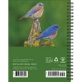 thumbnail image 2 of Backyard Birds 2026 Engagement Calendar, (Paperback), 2 of 5